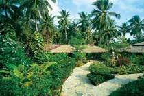   Coral Bay (samui) 3* (, . )