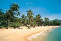   Coral Bay (samui) 3* (, . )