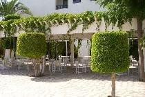 Фотография отеля El Hana Hannibal Palace 5* (Тунис, Сусс)