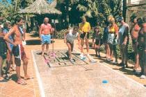   Ifa Continental 3* (,  )