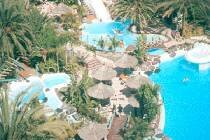   Ifa Continental 3* (,  )