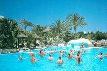   Ifa Continental 3* (,  )