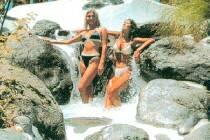   Ifa Continental 3* (,  )