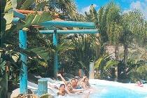   Ifa Continental 3* (,  )