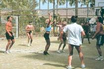   Ifa Continental 3* (,  )