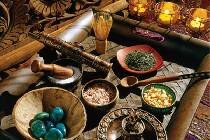 Фотография отеля Alva Park Resort & Spa 5* (Испания, Коста Брава)