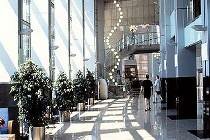   Grand Hotell Bali 4* (,  )