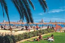 Фотография отеля Les Orangers Beach Resort 3* (Тунис, Хаммамет)