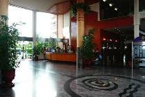   Dorada Palace 4 * (,  )