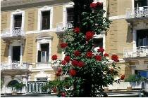 Фотография отеля Opatija 2* (Хорватия, Опатия)