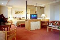 Фотография отеля Torrequebrada 5* (Испания, Коста Дель Соль)