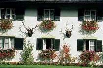   Schloss Fuschl 5* (, )