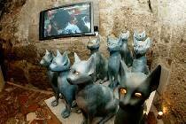   Arthotel Blaue Gans 4* (, )