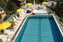 Фотография отеля Mannis Sporthotel 4* (Австрия, Майерхофен)