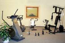 Фотография отеля Rose 4* (Австрия, Майерхофен)