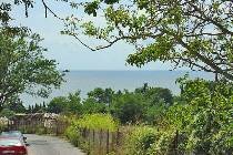 Фотография отеля Amfora Hotel 3* (Болгария, Св. Константин и Елена)