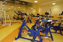   Alpinresort Reiterhof 4* (, )