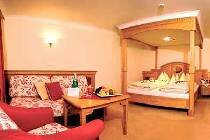 Фотография отеля Sport - und Vitalhotel Ellmau 4* (Австрия, Заальбах)