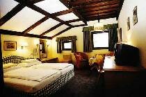 Фотография отеля Gartenhotel Tummlerhof 4* (Австрия, Зеефельд)