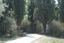 Фотография отеля Emerald Beach Resort & SPA 5* (Болгария, Солнечный берег)