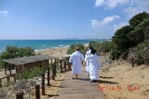 Фотография отеля The Westin Resort, Costa Navarino 5* (Греция, Пелопоннес)